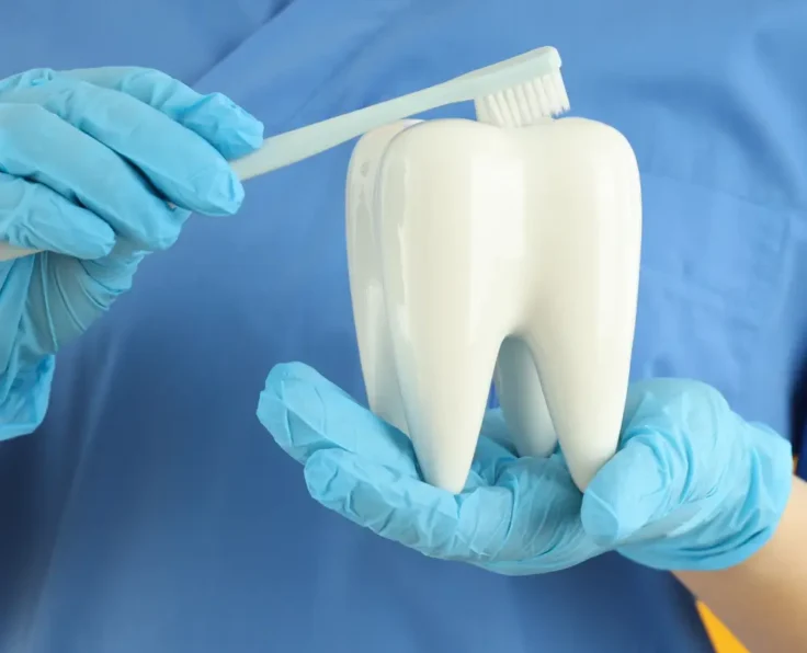 Preventive and Restorative Services